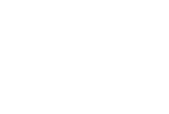 高品質